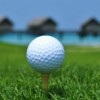 ビリンギリ島に待望のゴルフコースがオープン！