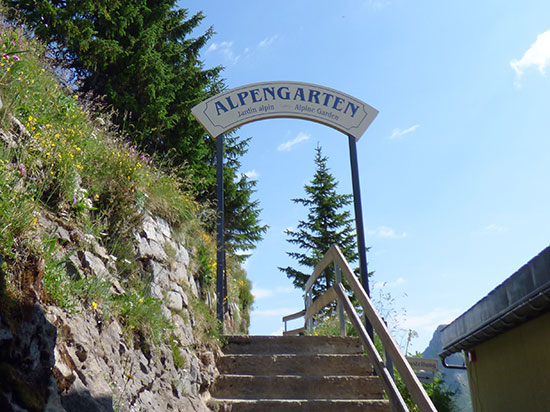 Alpengarten