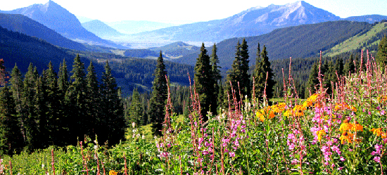 The Crested Butte-Wildflower Festival