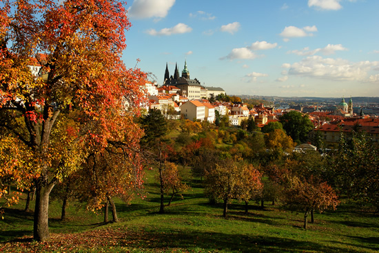 収穫の秋を迎えるチェコへようこそ！
