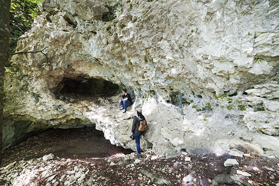 ドイツ42番目のユネスコ世界遺産は「氷河期の洞窟」