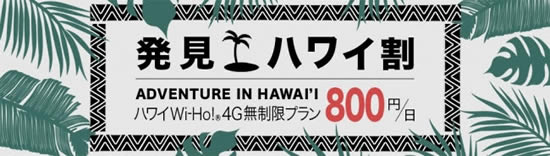 hawaii AR Digital Rally 2019 wiho