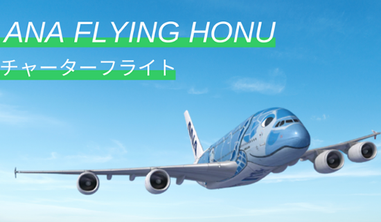 HI2010 ANA FLYING HONU