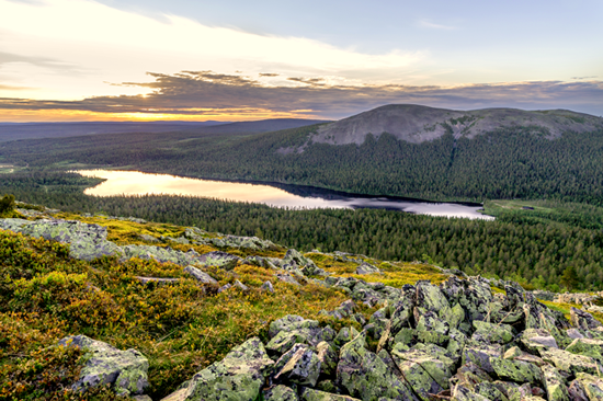 Visit Finland　観光における気候変動対策に関する「グラスゴー宣言」に署名