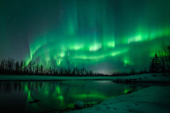 Northern Lights in Anchorage ©JodyO.Photos