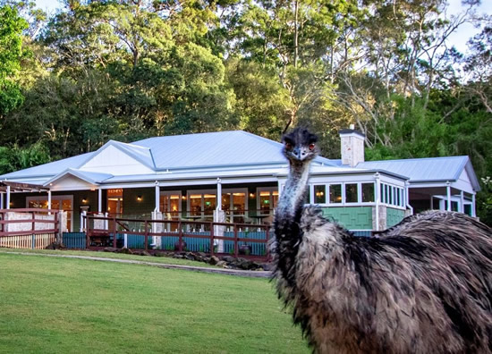 Currumbin Sanctuary