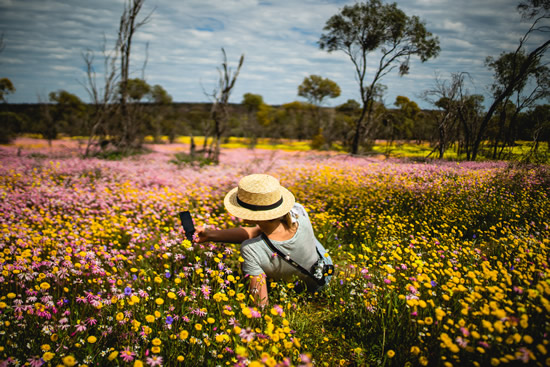 coalseam