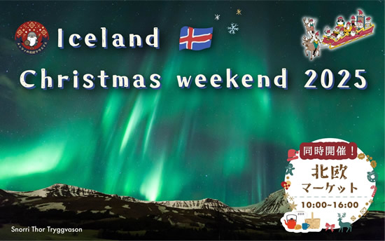 Iceland Christmas Weekend