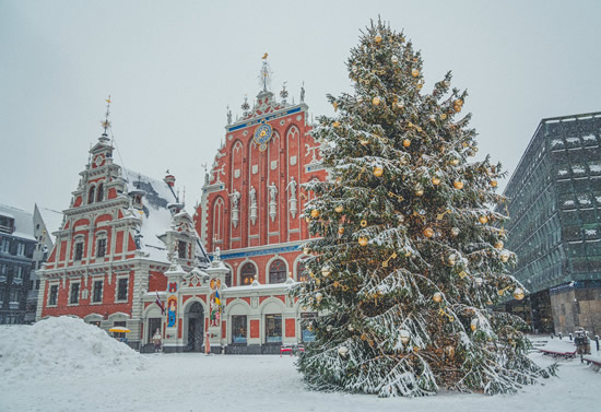 LV2512 Christmas tree